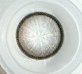 Olens EOTD Gray